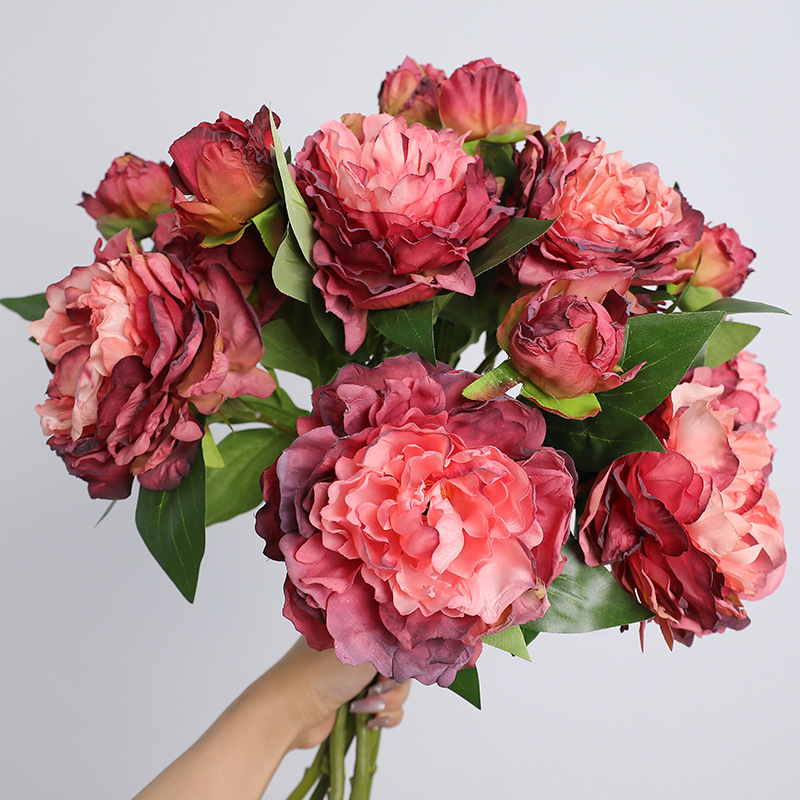 Photography Lighting Simulation - 1 Buah Bunga Peony Retro 2
