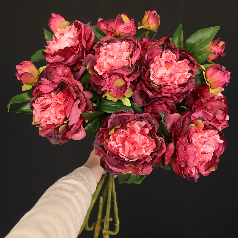 Photography Lighting Simulation - 1 Buah Bunga Peony Simulasi Retro
