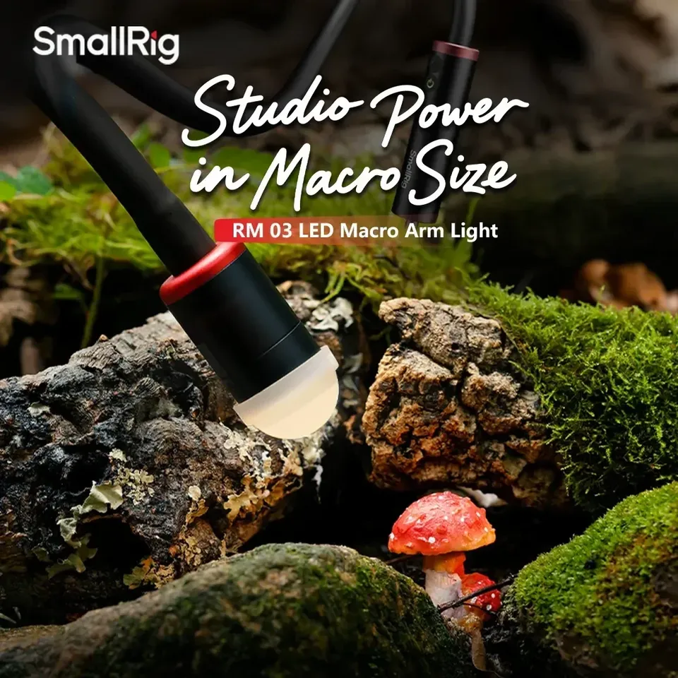 Lampu Arm Light Fotografi Smal - Photography Lighting Angles ulasan dan harga