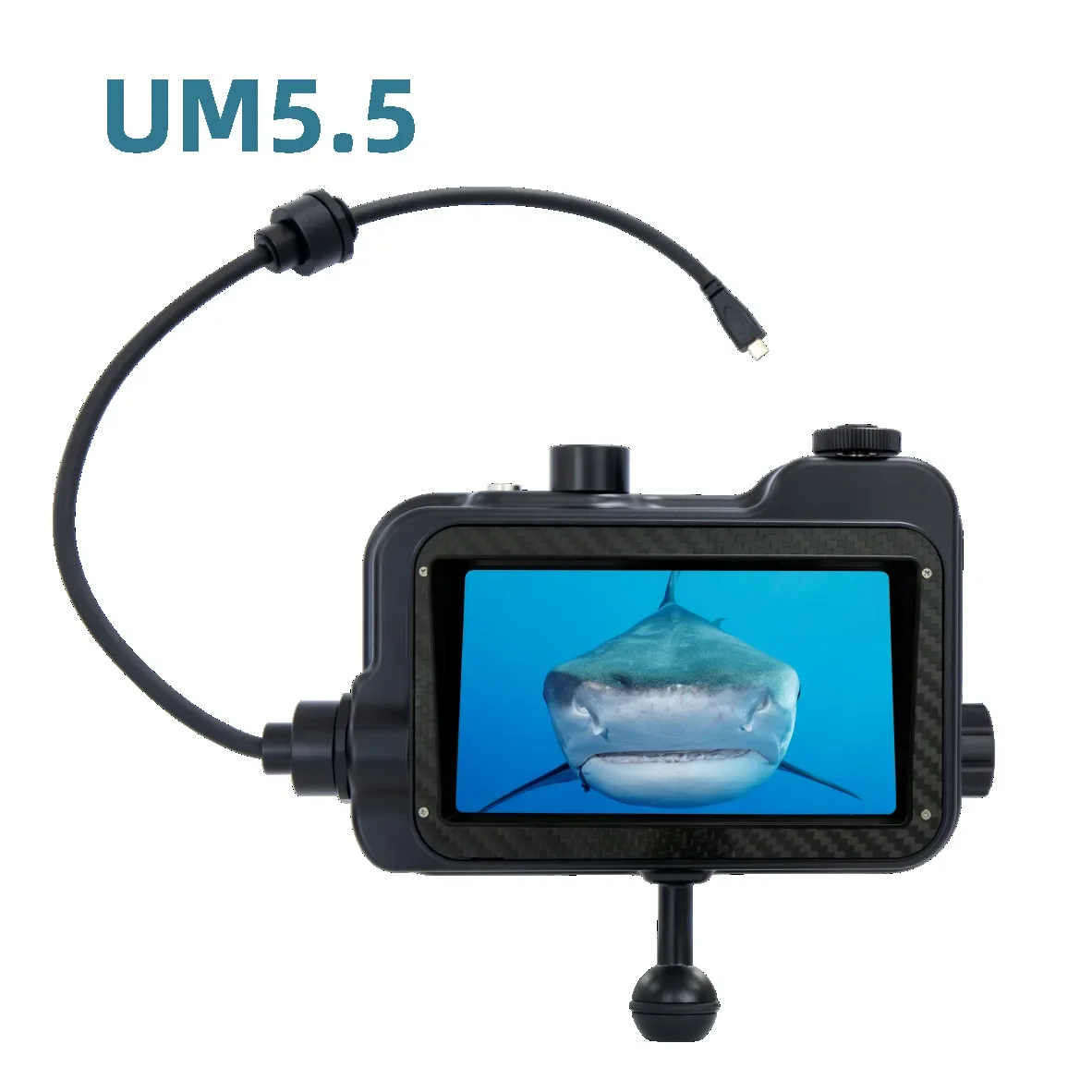 Layar Video Fotografi Submersi - Lighting In Photography Definition ulasan dan harga