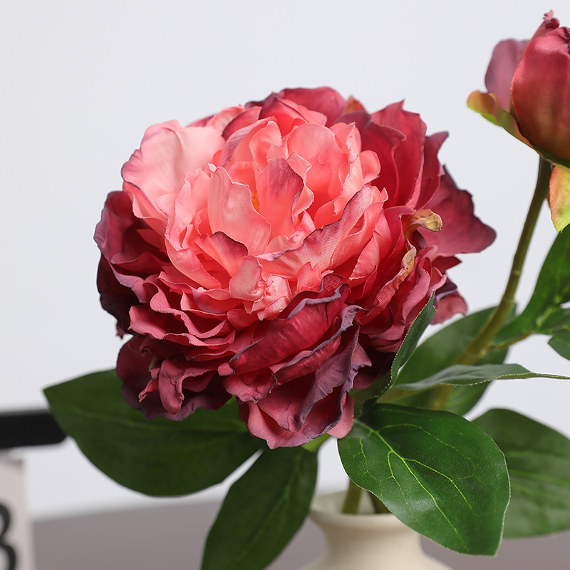 1 Buah Bunga Peony Retro 2 Kep - Photography Lighting Simulation ulasan dan harga