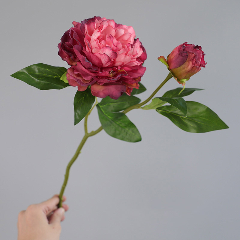 1 Buah Bunga Peony Simulasi Re - Photography Lighting Simulation ulasan dan harga